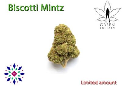 Biscotti Mintz Cannabis